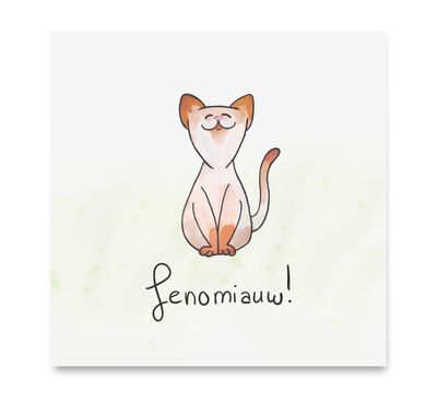 Fenomiauw